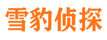 同安市调查公司